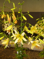 Foto: Dr. Peter Müller